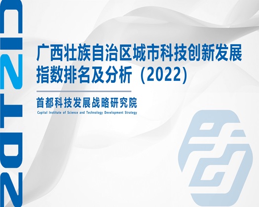 破处视频在线看【成果发布】广西壮族自治区城市科技创新发展指数排名及分析（2022）